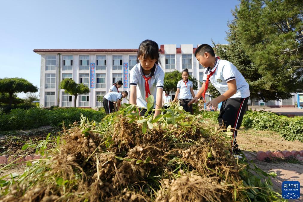 雷竞技下载